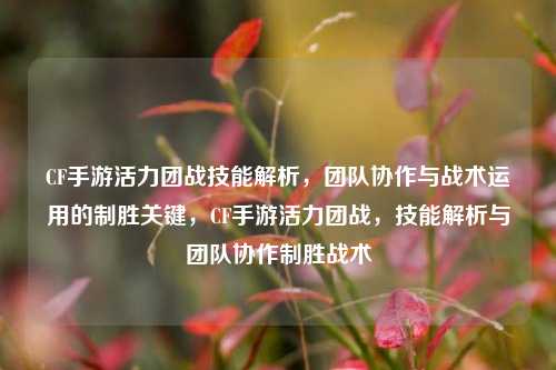 CF手游活力团战技能解析，团队协作与战术运用的制胜关键，CF手游活力团战，技能解析与团队协作制胜战术
