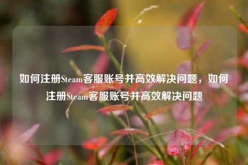 如何注册Steam客服账号并高效解决问题，如何注册Steam客服账号并高效解决问题