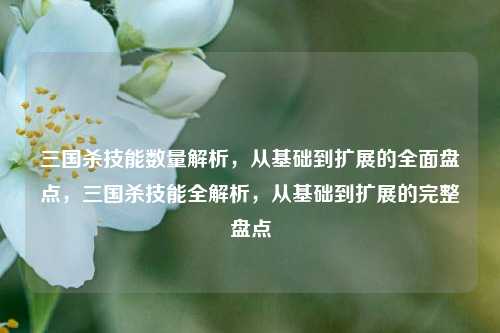 三国杀技能数量解析，从基础到扩展的全面盘点，三国杀技能全解析，从基础到扩展的完整盘点