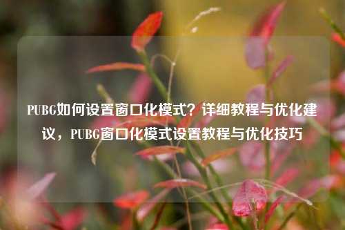 PUBG如何设置窗口化模式？详细教程与优化建议，PUBG窗口化模式设置教程与优化技巧