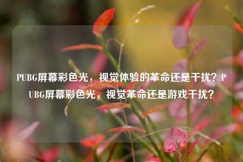 PUBG屏幕彩色光，视觉体验的革命还是干扰？PUBG屏幕彩色光，视觉革命还是游戏干扰？