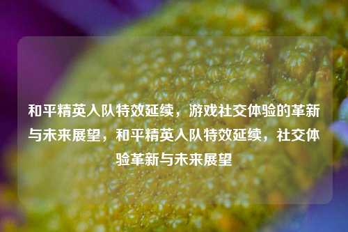 和平精英入队特效延续，游戏社交体验的革新与未来展望，和平精英入队特效延续，社交体验革新与未来展望
