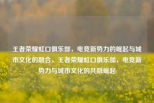 王者荣耀虹口俱乐部，电竞新势力的崛起与城市文化的融合，王者荣耀虹口俱乐部，电竞新势力与城市文化的共融崛起
