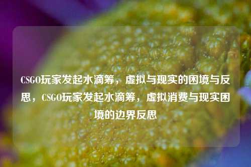 CSGO玩家发起水滴筹，虚拟与现实的困境与反思，CSGO玩家发起水滴筹，虚拟消费与现实困境的边界反思