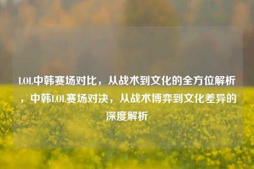 LOL中韩赛场对比，从战术到文化的全方位解析，中韩LOL赛场对决，从战术博弈到文化差异的深度解析