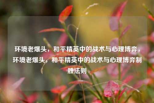 环境老爆头，和平精英中的战术与心理博弈，环境老爆头，和平精英中的战术与心理博弈制胜法则