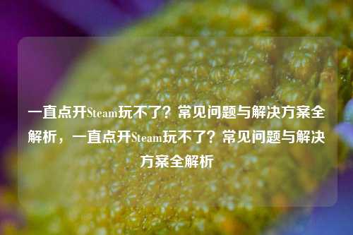 一直点开Steam玩不了？常见问题与解决方案全解析，一直点开Steam玩不了？常见问题与解决方案全解析