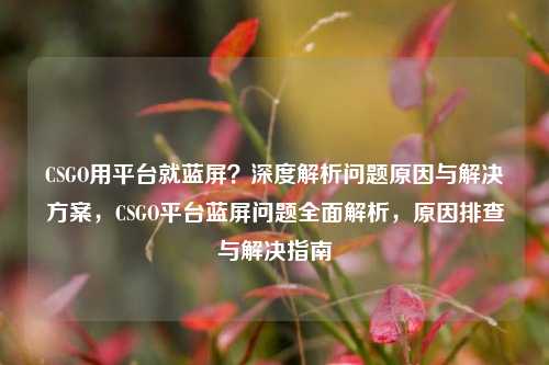CSGO用平台就蓝屏？深度解析问题原因与解决方案，CSGO平台蓝屏问题全面解析，原因排查与解决指南