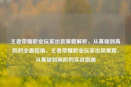 王者荣耀职业玩家出装策略解析，从基础到高阶的全面指南，王者荣耀职业玩家出装策略，从基础到高阶的实战指南