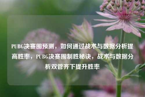 PUBG决赛圈预测，如何通过战术与数据分析提高胜率，PUBG决赛圈制胜秘诀，战术与数据分析双管齐下提升胜率