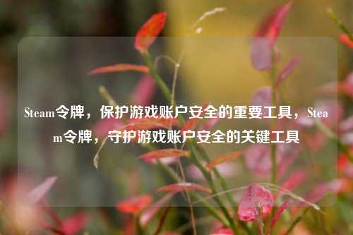 Steam令牌，保护游戏账户安全的重要工具，Steam令牌，守护游戏账户安全的关键工具