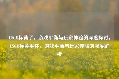 CSGO标黄了，游戏平衡与玩家体验的深度探讨，CSGO标黄事件，游戏平衡与玩家体验的深度解析