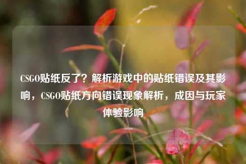 CSGO贴纸反了？解析游戏中的贴纸错误及其影响，CSGO贴纸方向错误现象解析，成因与玩家体验影响