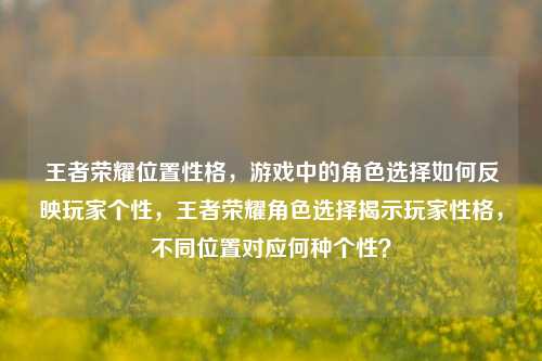王者荣耀位置性格，游戏中的角色选择如何反映玩家个性，王者荣耀角色选择揭示玩家性格，不同位置对应何种个性？