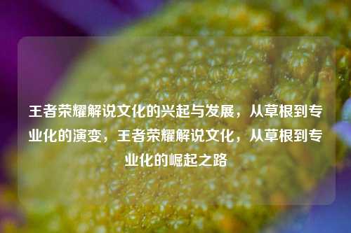 王者荣耀解说文化的兴起与发展，从草根到专业化的演变，王者荣耀解说文化，从草根到专业化的崛起之路