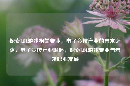 探索LOL游戏相关专业，电子竞技产业的未来之路，电子竞技产业崛起，探索LOL游戏专业与未来职业发展