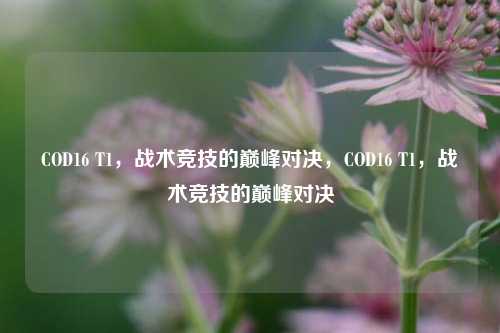 COD16 T1，战术竞技的巅峰对决，COD16 T1，战术竞技的巅峰对决