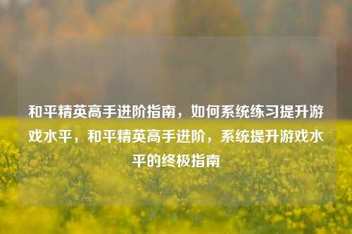 和平精英高手进阶指南，如何系统练习提升游戏水平，和平精英高手进阶，系统提升游戏水平的终极指南