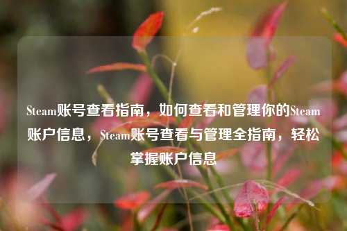 Steam账号查看指南，如何查看和管理你的Steam账户信息，Steam账号查看与管理全指南，轻松掌握账户信息