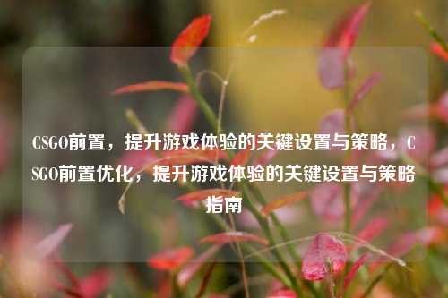 CSGO前置，提升游戏体验的关键设置与策略，CSGO前置优化，提升游戏体验的关键设置与策略指南