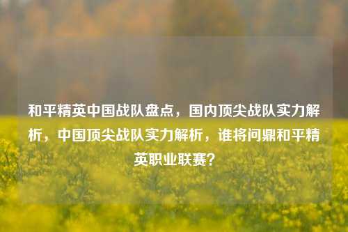 和平精英中国战队盘点，国内顶尖战队实力解析，中国顶尖战队实力解析，谁将问鼎和平精英职业联赛？