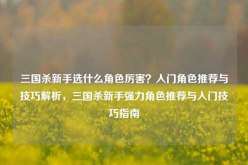 三国杀新手选什么角色厉害？入门角色推荐与技巧解析，三国杀新手强力角色推荐与入门技巧指南