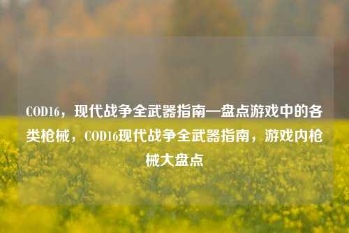 COD16，现代战争全武器指南—盘点游戏中的各类枪械，COD16现代战争全武器指南，游戏内枪械大盘点