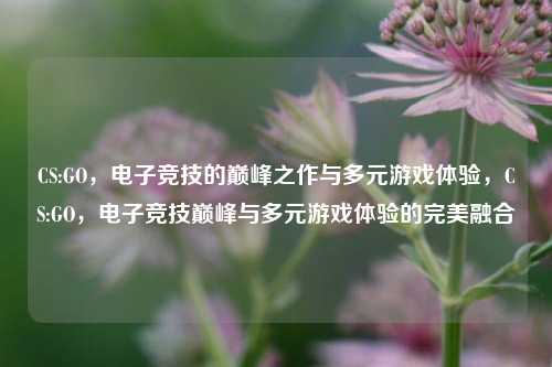 CS:GO，电子竞技的巅峰之作与多元游戏体验，CS:GO，电子竞技巅峰与多元游戏体验的完美融合