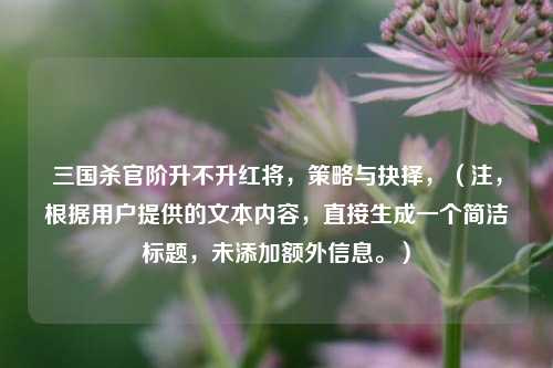 三国杀官阶升不升红将，策略与抉择，（注，根据用户提供的文本内容，直接生成一个简洁标题，未添加额外信息。）