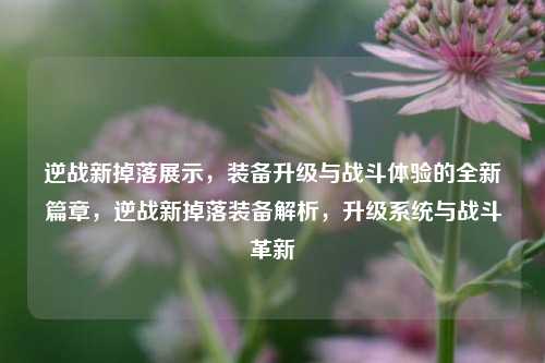 逆战新掉落展示，装备升级与战斗体验的全新篇章，逆战新掉落装备解析，升级系统与战斗革新