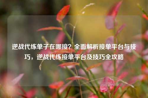 逆战代练单子在哪接？全面解析接单平台与技巧，逆战代练接单平台及技巧全攻略
