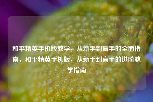和平精英手机版教学，从新手到高手的全面指南，和平精英手机版，从新手到高手的进阶教学指南