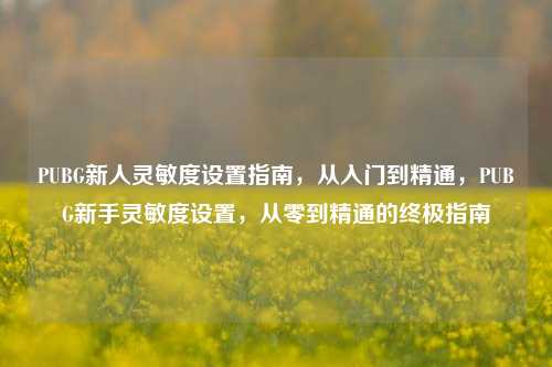 PUBG新人灵敏度设置指南，从入门到精通，PUBG新手灵敏度设置，从零到精通的终极指南