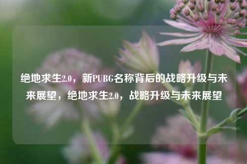 绝地求生2.0，新PUBG名称背后的战略升级与未来展望，绝地求生2.0，战略升级与未来展望