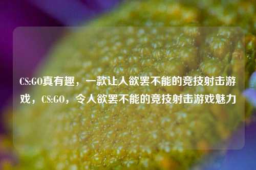 CS:GO真有趣，一款让人欲罢不能的竞技射击游戏，CS:GO，令人欲罢不能的竞技射击游戏魅力