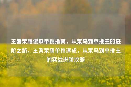 王者荣耀傻瓜单挑指南，从菜鸟到单挑王的进阶之路，王者荣耀单挑速成，从菜鸟到单挑王的实战进阶攻略