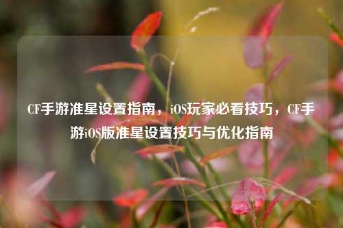 CF手游准星设置指南，iOS玩家必看技巧，CF手游iOS版准星设置技巧与优化指南