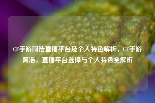 CF手游阿浩直播平台及个人特色解析，CF手游阿浩，直播平台选择与个人特色全解析