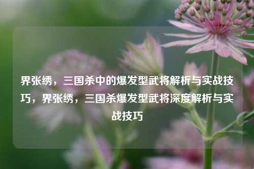 界张绣，三国杀中的爆发型武将解析与实战技巧，界张绣，三国杀爆发型武将深度解析与实战技巧
