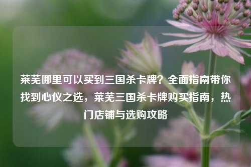 莱芜哪里可以买到三国杀卡牌？全面指南带你找到心仪之选，莱芜三国杀卡牌购买指南，热门店铺与选购攻略