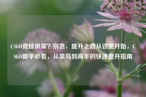 CSGO竞技很菜？别急，提升之路从这里开始，CSGO新手必看，从菜鸟到高手的快速提升指南