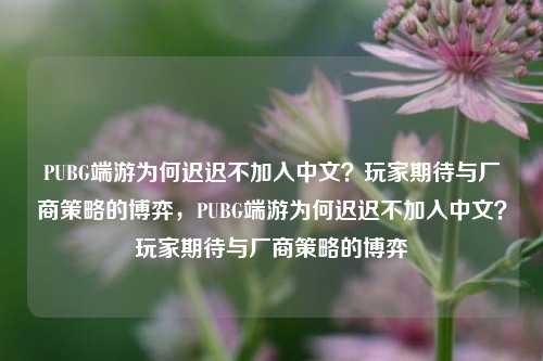 PUBG端游为何迟迟不加入中文？玩家期待与厂商策略的博弈，PUBG端游为何迟迟不加入中文？玩家期待与厂商策略的博弈