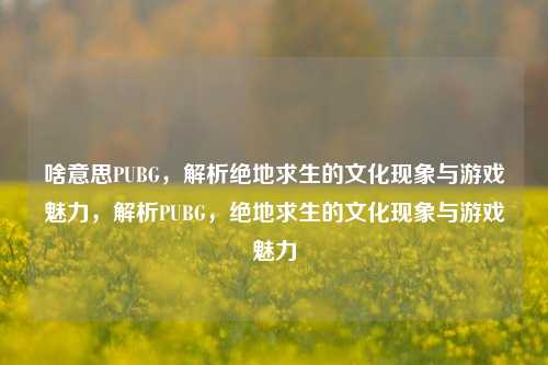 啥意思PUBG，解析绝地求生的文化现象与游戏魅力，解析PUBG，绝地求生的文化现象与游戏魅力