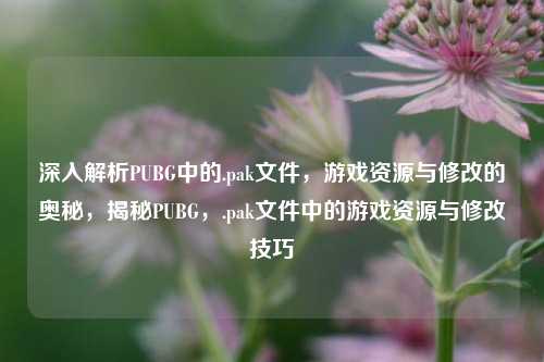 深入解析PUBG中的.pak文件，游戏资源与修改的奥秘，揭秘PUBG，.pak文件中的游戏资源与修改技巧