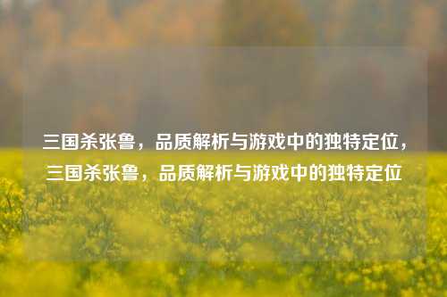 三国杀张鲁，品质解析与游戏中的独特定位，三国杀张鲁，品质解析与游戏中的独特定位