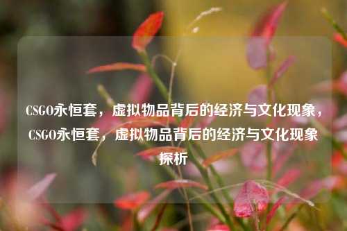 CSGO永恒套，虚拟物品背后的经济与文化现象，CSGO永恒套，虚拟物品背后的经济与文化现象探析