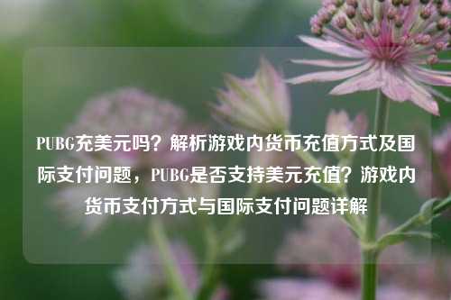 PUBG充美元吗？解析游戏内货币充值方式及国际支付问题，PUBG是否支持美元充值？游戏内货币支付方式与国际支付问题详解