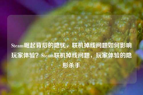 Steam崛起背后的隐忧，联机掉线问题如何影响玩家体验？Steam联机掉线问题，玩家体验的隐形杀手