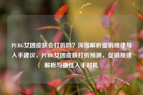 PUBG女团皮肤会打折吗？深度解析促销规律与入手建议，PUBG女团皮肤打折预测，促销规律解析与最佳入手时机