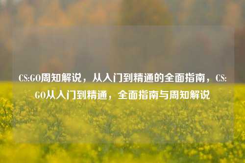 CS:GO周知解说，从入门到精通的全面指南，CS:GO从入门到精通，全面指南与周知解说
